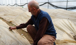 76 yaşındaki Bayburtlu üretici ata tohumları için zirai don nöbetinde