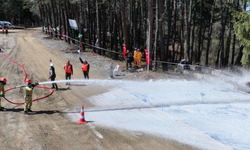 Trabzon'da ormancılar kıyasıya yarıştı