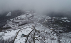 Trabzon'un yüksek kesimlerinde kar etkili oldu