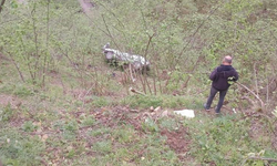 Giresun'da araç fındık bahçesine yuvarlandı! Acı haber...