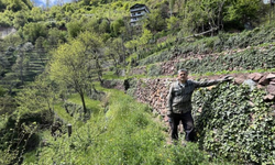 Dik yamaçta 60 yıllık emek, taş duvarlarla kurulan miras
