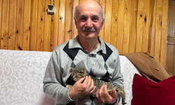 Sokak kedilerine evinin kapısını açtı