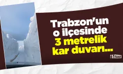 Trabzon'un o ilçesinde 3 metrelik kar duvarı...