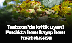 Trabzon’da kritik uyarı! Fındıkta hem kayıp hem fiyat düşüşü