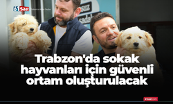 Trabzon'da sokak hayvanları için güvenli ortam oluşturulacak