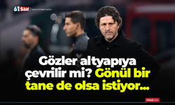 Gönül bir tane de olsa istiyor...