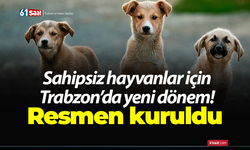 Sahipsiz hayvanlar için Trabzon’da yeni dönem! Resmen kuruldu