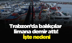 Trabzon’da balıkçılar limana demir attı! İşte nedeni