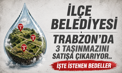 Trabzon Arsin'de 12 Milyon TL'lik satış...