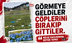 Trabzon'da koruma altındaki çiçekleri görmek için gittiler, çöpleri bırakıp döndüler!
