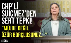 CHP'li Suiçmez'den sert tepki! "Müjde değil özür borçlusunuz..."