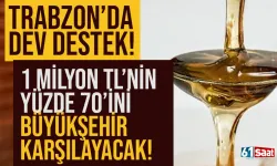 Trabzon'da dev destek! 1 milyon TL'ye mal oluyor, yüzde 70'ini büyükşehir karşılayacak!
