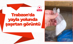 Trabzon'da yayla yolunda şaşırtan görüntü