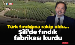 Türk fındığına rakip oldu… Şili’de fındık fabrikası kurdu