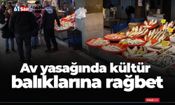 Av yasağında kültür balıklarına rağbet