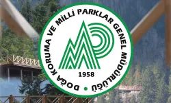 Pick-Up Kamyonet hizmet alımı