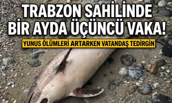 Trabzon sahilinde bir ayda üçüncü vaka!