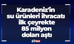 Karadeniz'in su ürünleri ihracatı ilk çeyrekte 85 milyon doları aştı