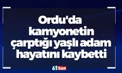 Ordu'da kamyonetin çarptığı yaşlı adam hayatını kaybetti