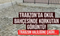 Trabzon'da okul bahçesinde korkutan görüntü!
