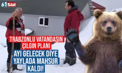 Trabzonlu vatandaşın çılgın planı! Ayı gelecek diye yaylada mahsur kaldı...
