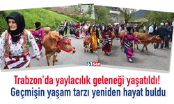 Trabzon'da yaylacılık geleneği yaşatıldı! Geçmişin yaşam tarzı yeniden hayat buldu