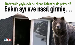 Trabzon’da yayla evinde alınan önlemler de yetmedi! Bakın ayı eve nasıl girmiş…