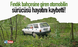 Fındık bahçesine giren otomobilin sürücüsü hayatını kaybetti!