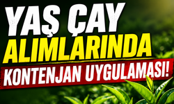 Yaş çay alımlarında kontenjan uygulaması!