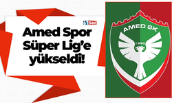 Amed Spor Süper Lig'e yükseldi!