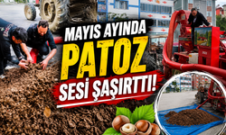 Mayıs ayında patoz sesi şaşırttı!