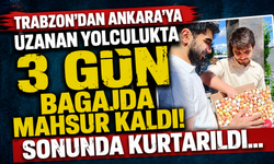 Trabzon'dan Ankara'ya uzanan yolculukta 3 gün bagajda mahsur kaldı! Sonunda kurtarıldı...
