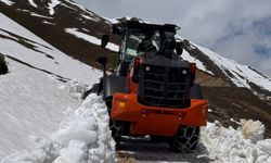 Rize'de karla kaplı yayla yolları tek tek ulaşıma açılıyor.