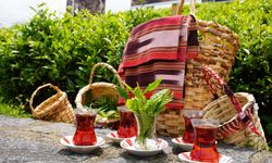Rize'de Dünya Çay Günü etkinliği