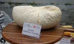 Şeflerden Karadeniz'in yöresel peynirleriyle özel ve geleneksel tarifler!