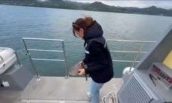 Ordu'da yasağa uymayanların ağlarına el konuldu