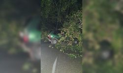 Bartın'da fırtına; ağaçlar devrildi, araçlar zarar gördü