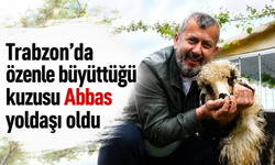 Trabzon’da özenle büyüttüğü kuzusu Abbas yoldaşı oldu