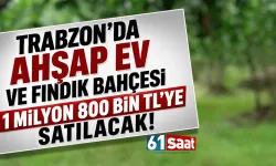 Trabzon'da Ahşap Ev ve Fındık Bahçesi 1 milyon 800 bin TL'ye satılacak!