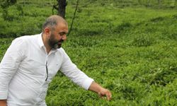 Çakıroğlu: “Sektörde İstikrar İçin Denetim Şart”