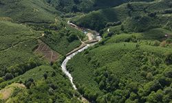 Ordu'da Çamaş Kanyonu ilgi odağı oluyor