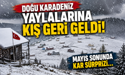 Doğu Karadeniz yaylalarına kış geri geldi! Mayıs sonunda kar sürprizi...