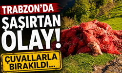 Trabzon'da şaşırtan olay! Çuvallarla bırakıldı...