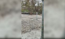 Amasya’da dolu yağışı