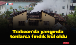 Trabzon'da yangında tonlarca fındık kül oldu