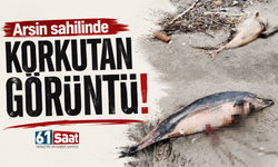 Arsin sahilinde korkutan görüntü!