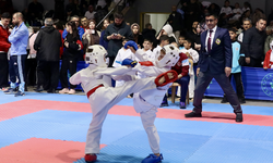 Trabzon'da 2. Şehit Eren Bülbül İller Arası Karate Şampiyonası başladı