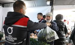 Ordu Büyükşehir, 7 yılda 5 milyona yakın fide dağıttı