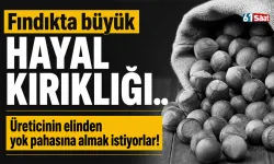 Fındıkta büyük hayal kırıklığı.. Üreticinin elinden yok pahasına almak istiyorlar!