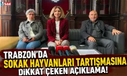 Trabzon’da sokak hayvanları tartışmasına dikkat çeken açıklama!